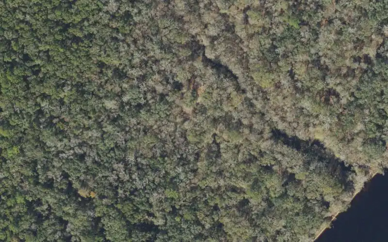 Aerial photo of the area around Allen Mill Pond (Lafayette Blue Springs State Park) Canoe Launch, Lafayette County