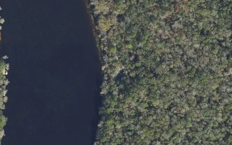 Aerial photo of the area around Andrews Wildlife Management Area Canoe Launch, Levy County