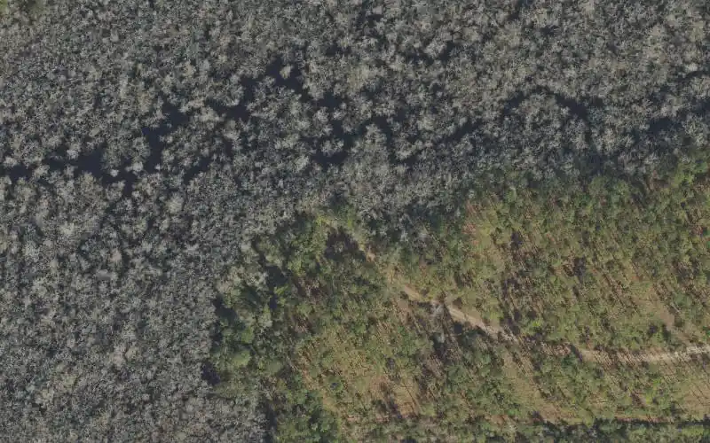 Aerial photo of the area around Apalachicola National Forest - Big Gully Landing, Liberty County