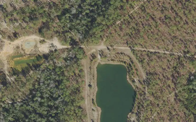 Aerial photo of the area around Apalachicola National Forest - Buttermilk Pond, Liberty County