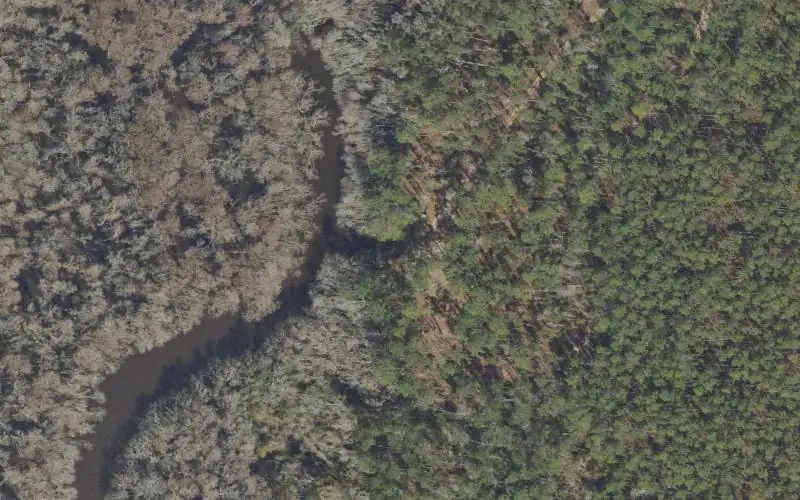 Aerial photo of the area around Apalachicola National Forest - Cotton Landing Boat Ramp, Liberty County