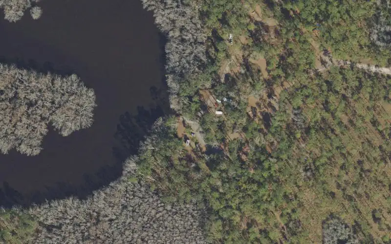 Aerial photo of the area around Apalachicola National Forest - Hickory Landing Boat Ramp and Campground, Franklin County
