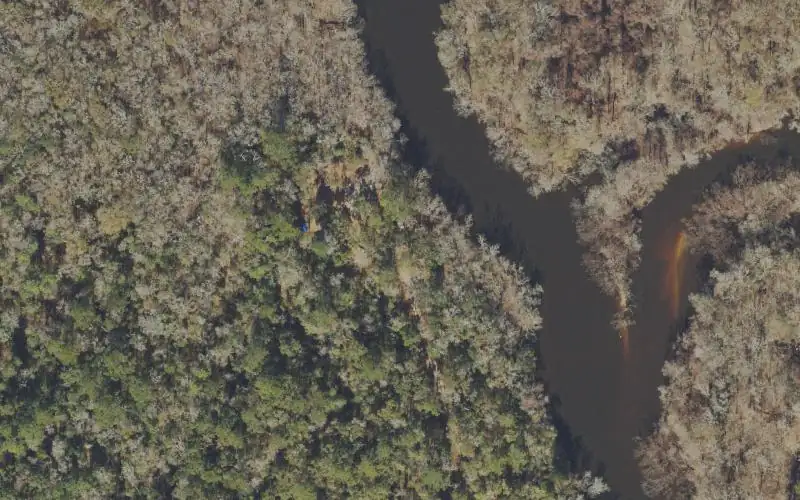 Aerial photo of the area around Apalachicola National Forest - Lower Revell Landing, Liberty County