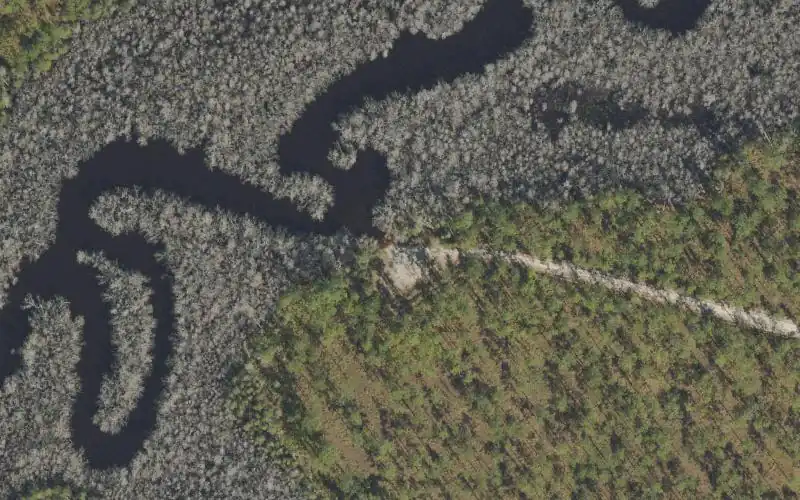 Aerial photo of the area around Apalachicola National Forest - Waffen Landing, Franklin County