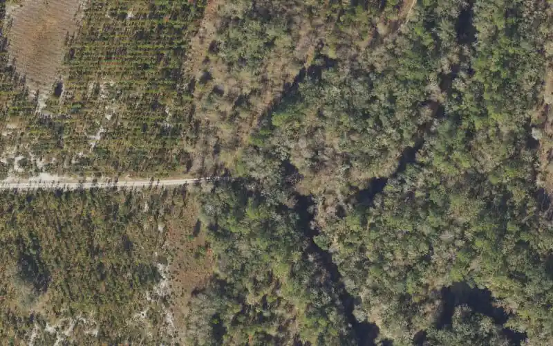Aerial photo of the area around Aucilla River Mile 15.2 - Primitive Canoe Access Downstream of Rapids - Jone's Mill Creek Tract, Jefferson County