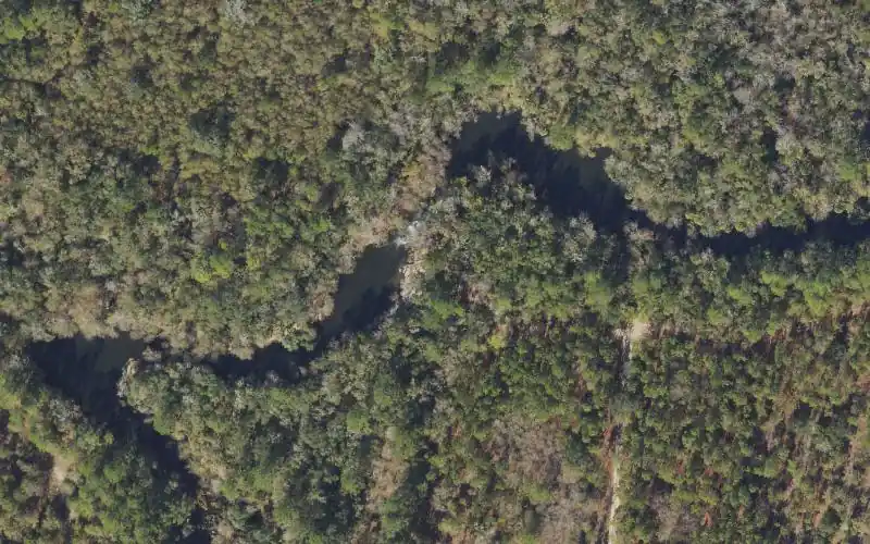 Aerial photo of the area around Aucilla River Mile 15.8 - Downstream Side of Aucilla Rapids Primitive Canoe Access - Cabbage Grove Tract, Taylor County