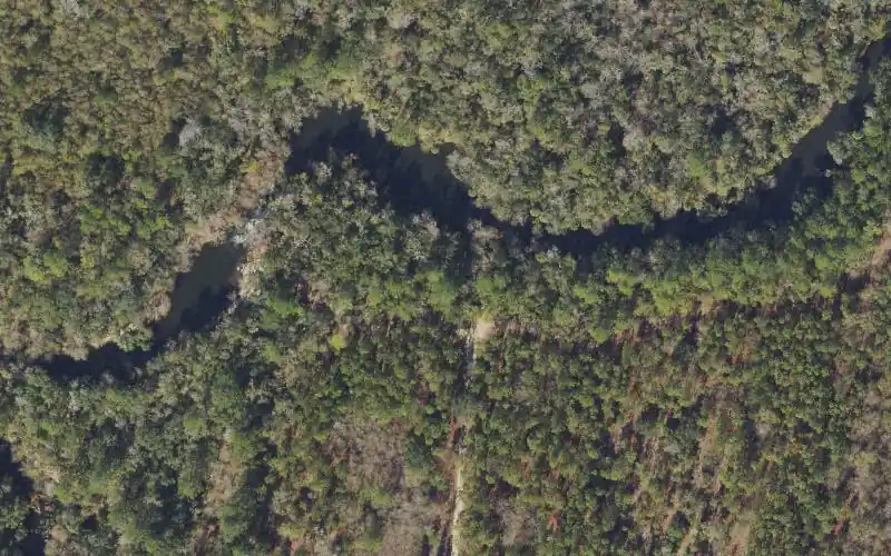 Aerial photo of the area around Aucilla River Mile 15.8 - Upstream Side of Aucilla Rapids Primitive Canoe Access - Cabbage Grove Tract, Taylor County