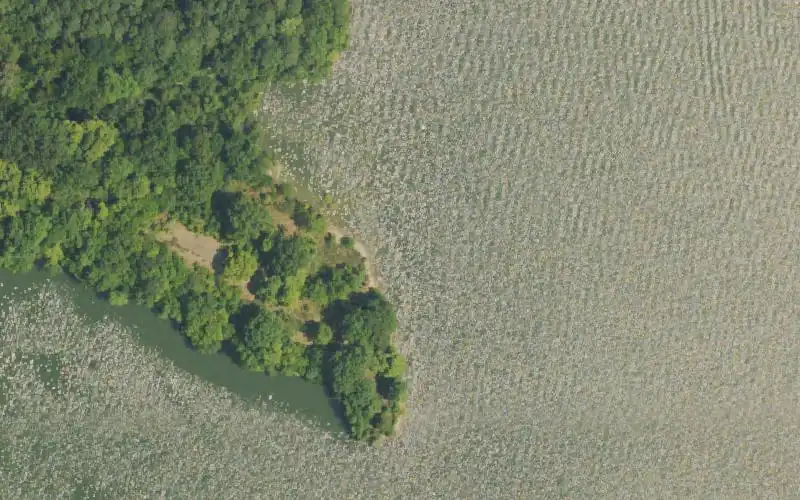 Aerial photo of the area around Bacon Creek - LBL, Trigg County