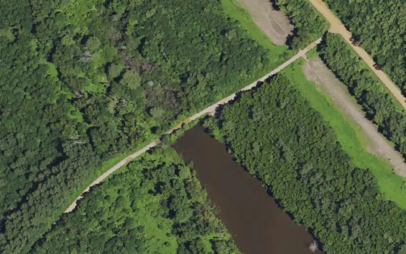 Aerial photo of the area around Black Lake, Carlisle County