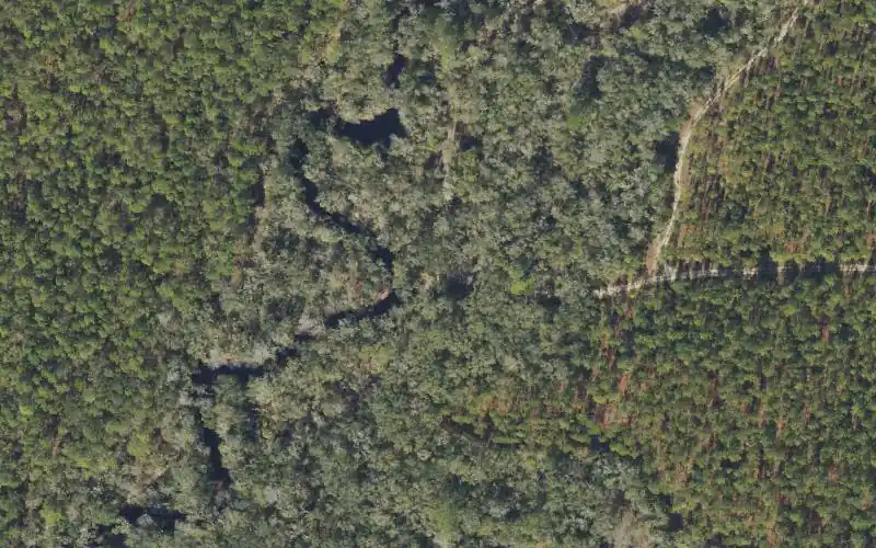 Aerial photo of the area around Econfina River Mile 14.5 - Canoe Access - Cemetary Road West, Taylor County