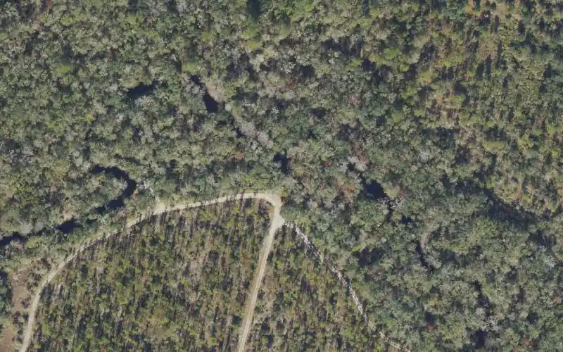 Aerial photo of the area around Econfina River Mile 17.6 - Canoe Access - Whiddon Road, Taylor County