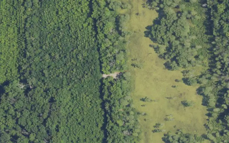 Aerial photo of the area around Jenny Hole Pond 1, Henderson County