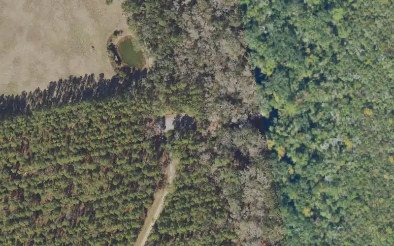 Aerial photo of the area around John M. Bethea State Forest - Maple Set Recreation Area - Canoe Launch, Baker County