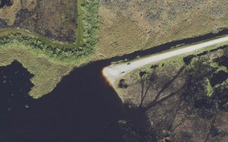 Aerial photo of the area around Lake Florence Primitive Boat Ramp, Brevard County