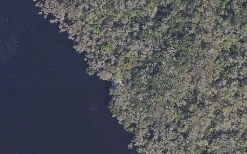 Aerial photo of the area around Lake George Conservation Area - Barrs Landing Canoe Launch, Volusia County