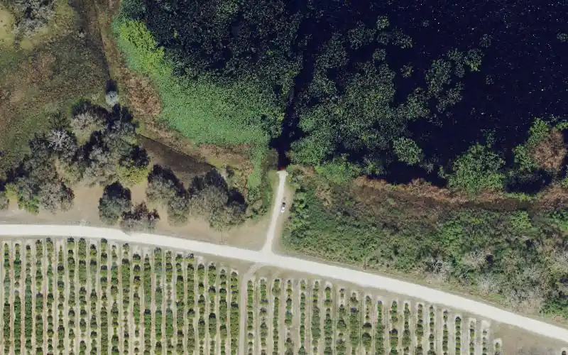 Aerial photo of the area around Lake Isabell, Highlands County