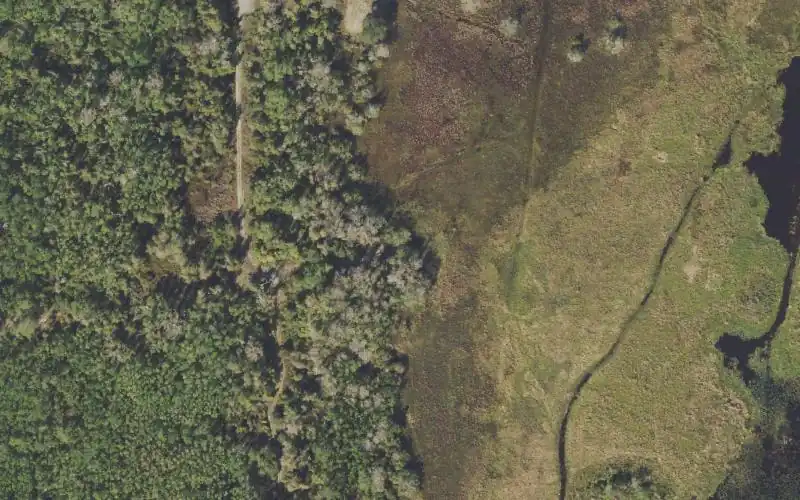Aerial photo of the area around Lake Istokpoga - Patton Avenue Primitive Airboat Ramp, Highlands County