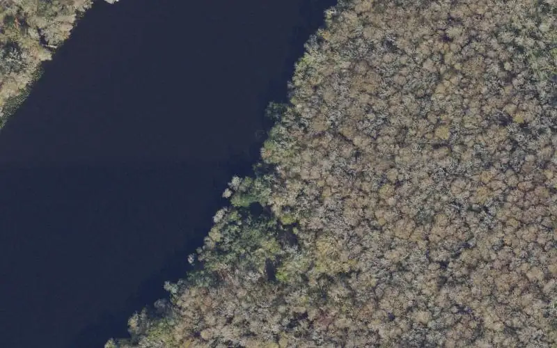Aerial photo of the area around Manatee Springs State Park - Usher Landing (Small Boats Only), Levy County