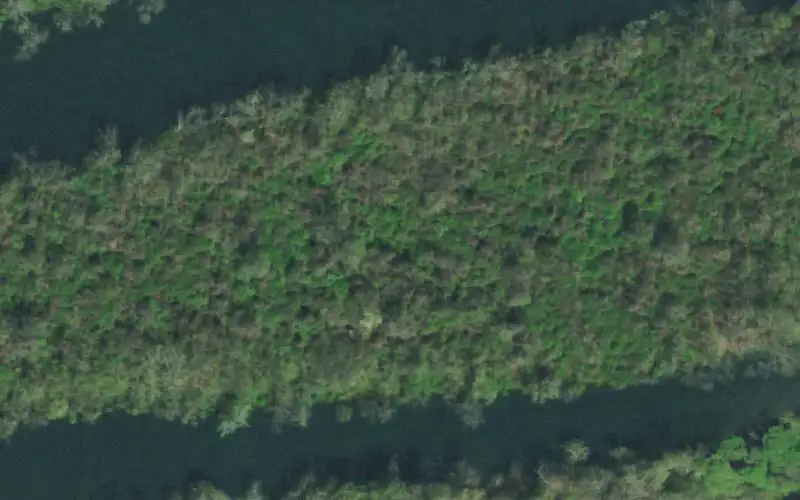 Aerial photo of the area around Miller Island SFA, Anderson County