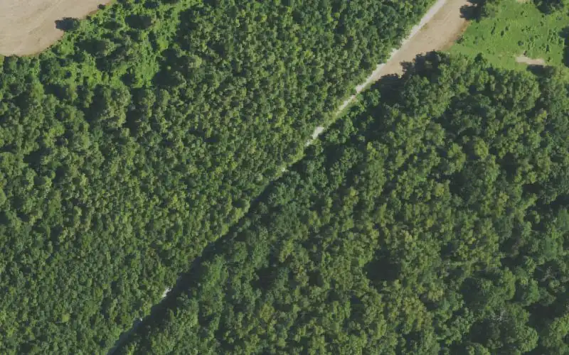 Aerial photo of the area around Obio Creek WMA Ramp, Fulton County