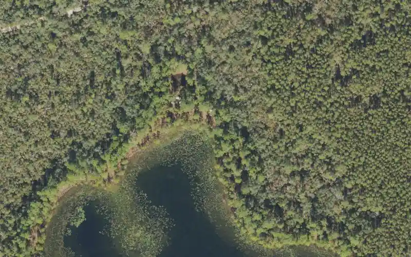 Aerial photo of the area around Ocala National Forest - Clay Lake Primitive Access (4x4 Only), Lake County