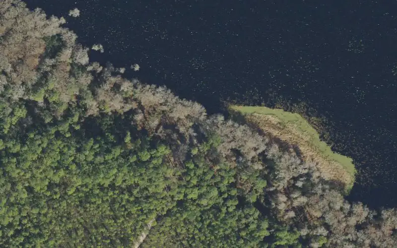 Aerial photo of the area around Ocala National Forest - Lake Charles Primitive Access, Marion County