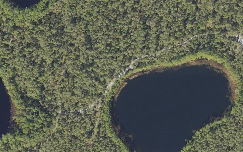 Aerial photo of the area around Ocala National Forest - Lawbreaker Lake Canoe Access (4x4 Only), Lake County