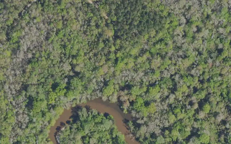 Aerial photo of the area around Reedy Landing Gravel Boat Ramp (Small Boats), Okaloosa County