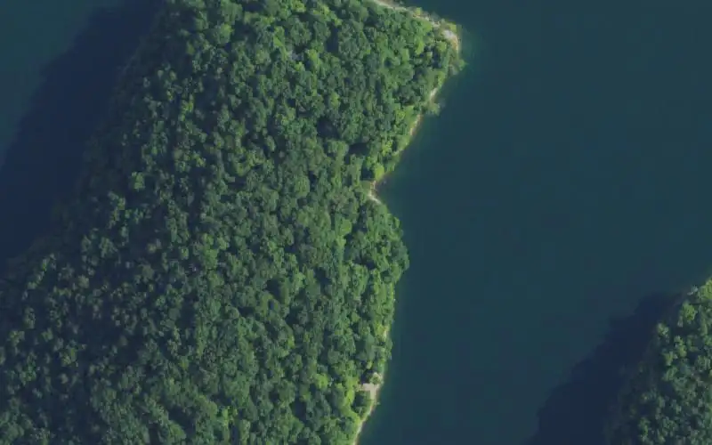 Aerial photo of the area around Shelton Branch Ramp, Wayne County