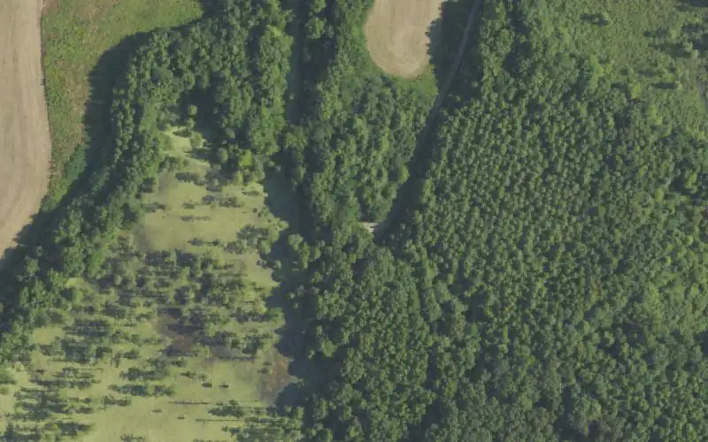 Aerial photo of the area around Sloughs WMA Ramp #9, Henderson County