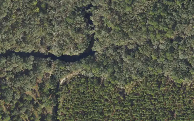 Aerial photo of the area around Steinhatchee Rise Tract Canoe Launch 1, Taylor County