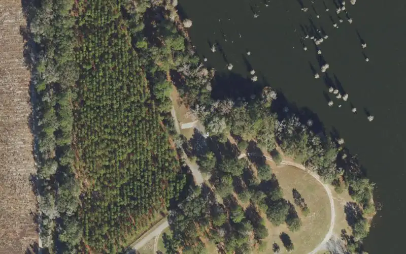 Aerial photo of the area around Suwannee Lake Fish Management Area Boat Ramp, Suwannee County