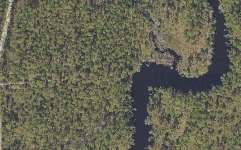 Aerial photo of the area around Tate's Hell State Forest - Dew Drop Camp Canoe Access, Franklin County