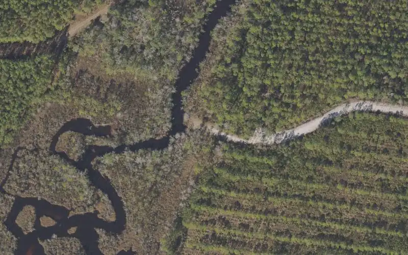 Aerial photo of the area around Tate's Hell State Forest - Dry Bridge Camp Canoe Access, Franklin County