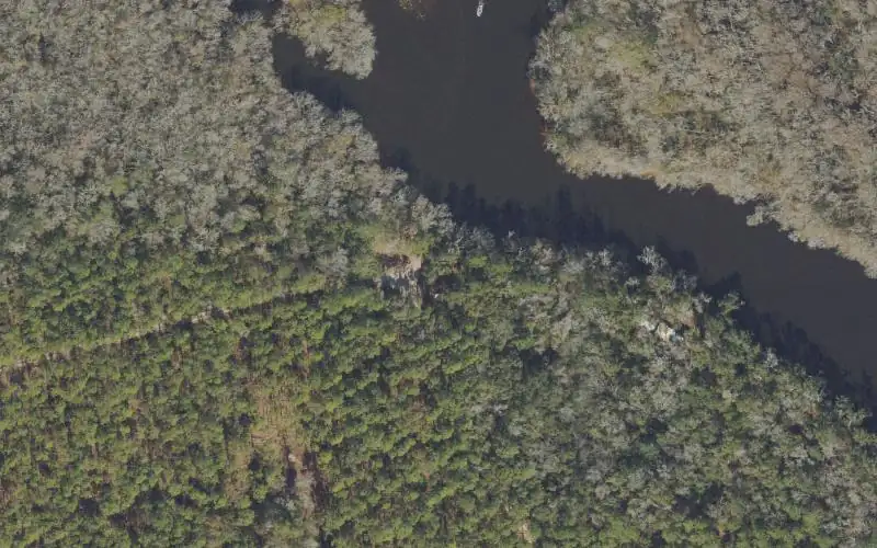 Aerial photo of the area around Tate's Hell State Forest - Log Cabin Camp Site #1 Primitive Boat Launch, Liberty County