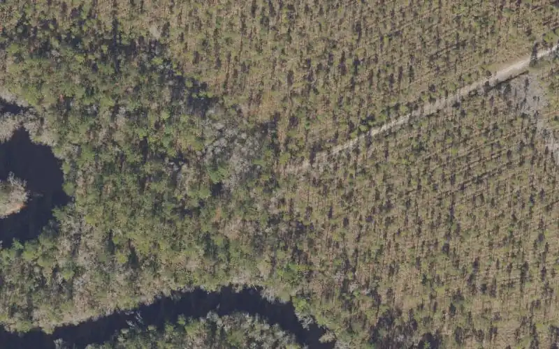 Aerial photo of the area around Tate's Hell State Forest - New River Camp #2 Canoe Access, Franklin County