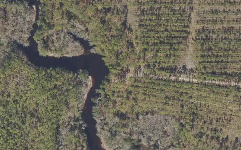 Aerial photo of the area around Tate's Hell State Forest - New River Camp #4 Canoe Access, Franklin County