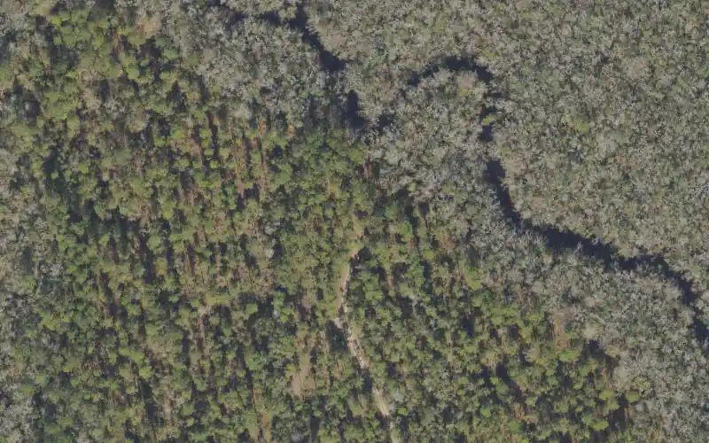 Aerial photo of the area around Tate's Hell State Forest - Nicks Road Camp Canoe Access, Liberty County