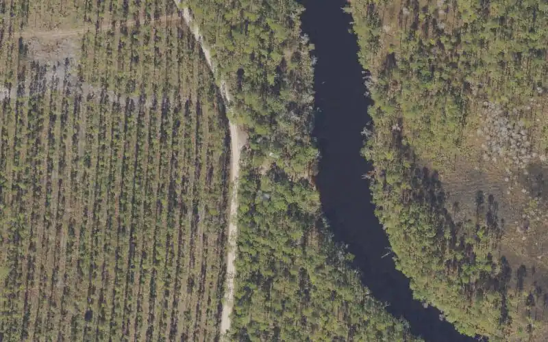 Aerial photo of the area around Tate's Hell State Forest - Parker Place Campsite Boat Launch, Franklin County