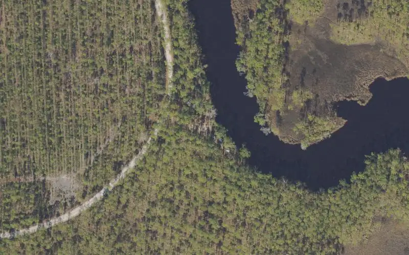 Aerial photo of the area around Tate's Hell State Forest - Pope Place Camp Primitive Boat Launch, Franklin County