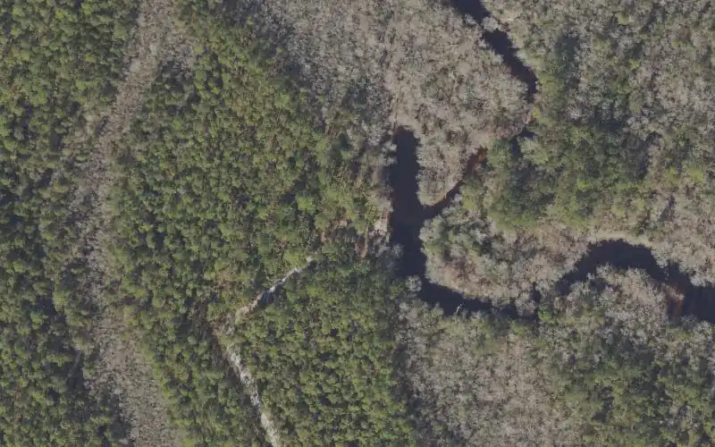 Aerial photo of the area around Tate's Hell State Forest - Sumatra Primitive Boat Launch, Liberty County