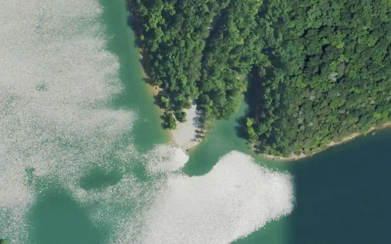 Aerial photo of the area around Twyford Point, Wayne County